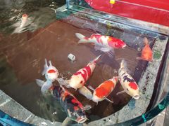 -太阳门淮扬菜(南京博物院店)