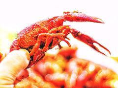 -红盔甲·小龙虾(天钥桥店)