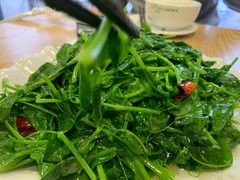 -老成渝川菜馆(麦溪路店)