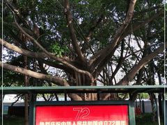 -深圳市人才园(深南大道店)