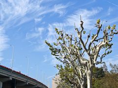 -上海美兆健康医疗体检中心(古北店)