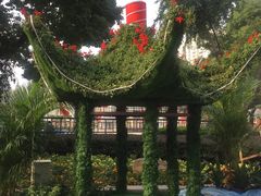 -西北湖绿化广场
