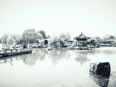-尚湖风景区