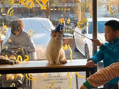 -平行世界·猫咖(首经贸店)