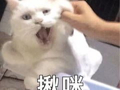 -好伦哥比萨烤肉自助(马家堡店)