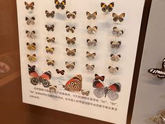 -天津自然博物馆