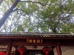 -秋霞圃