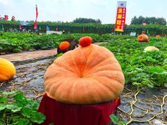 -长春农业博览园