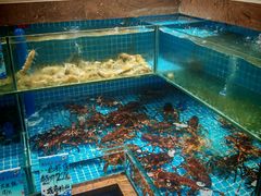 -良师门滨海人家·海鲜·家常菜(滨海城店)