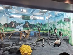 -秦皇岛野生动物园