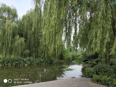 -习家池