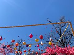 -北京凤凰岭
