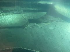 -白鹤梁水下博物馆