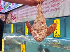 -有腥气私房菜·寻味顺德