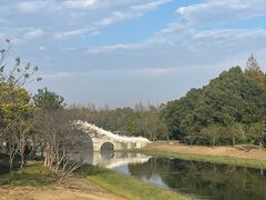 -上海海湾国家森林公园