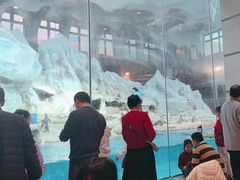 -帝企鹅自助餐厅•儿童岛•真企鹅(长隆企鹅酒店)