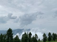 -驼梁风景区