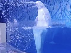 -珠海长隆海洋王国