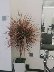 -兰州GT造型形象护肤中心