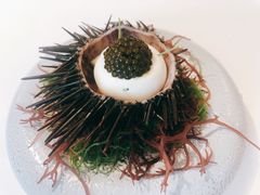 北海道海胆-Odette