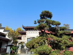 -堤角公园