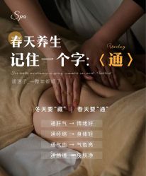 -玛莲朵·海菲秀冰珀科