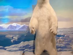 -陕西自然博物馆