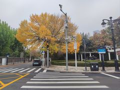 -天津五大道文化旅游区