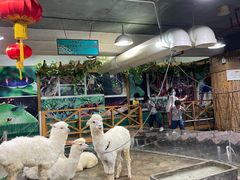 -上海大自然野生昆虫馆(东方明珠·爬宠昆虫探索中心)