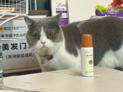 -和木形象