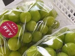 -马陆小张葡萄园农家乐