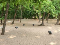 -秦皇岛野生动物园
