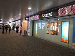 -上海浦东国际机场-T2航站楼