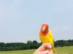 -钟山体育运动公园