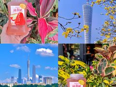 -茶理宜世(东方宝泰店)