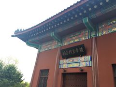 -重庆市江北嘴中央商务区中央公园