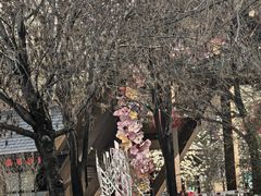-济南植物园