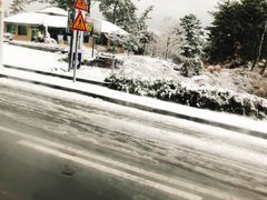 -雪绿茶博物馆
