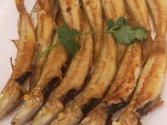 香煎沙丁鱼-万山楼海鲜酒家·二十三年老字号