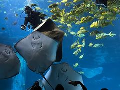 -太平洋海底世界