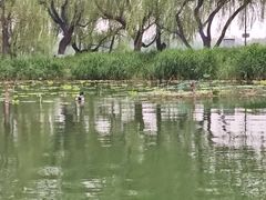 -WhaleSports户外水上运动俱乐部(朝阳公园店)