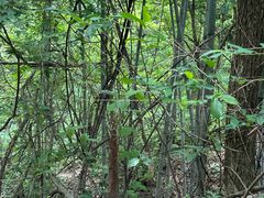 -敬亭山风景名胜区