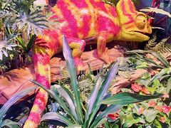 -正佳雨林生态植物园