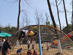 -合肥滨湖国家森林公园