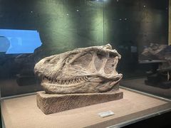 -自贡恐龙博物馆