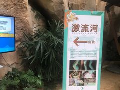 -杭州开元森泊度假乐园