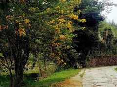 -贵阳市花溪国家城市湿地公园