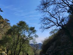 -泰山风景名胜区