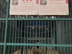 -秦皇岛野生动物园
