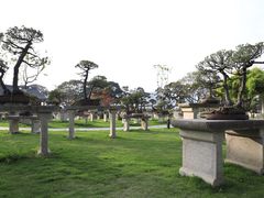 -江心屿景区